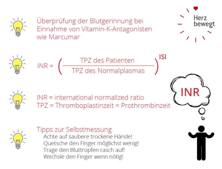 Was ist der INRWert und was sagt er aus? I Herz bewegt informiert